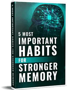 the-brain-song-bonus-5 important habits